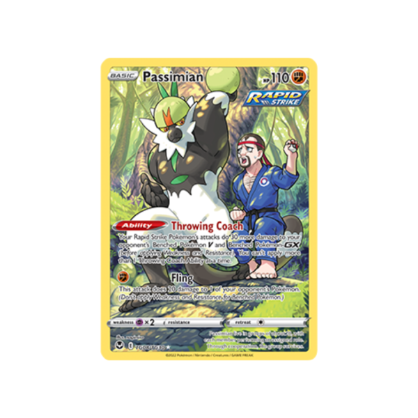 Passimian TG08/TG30 - Sword & Shield Silver Tempest Trainer Gallery